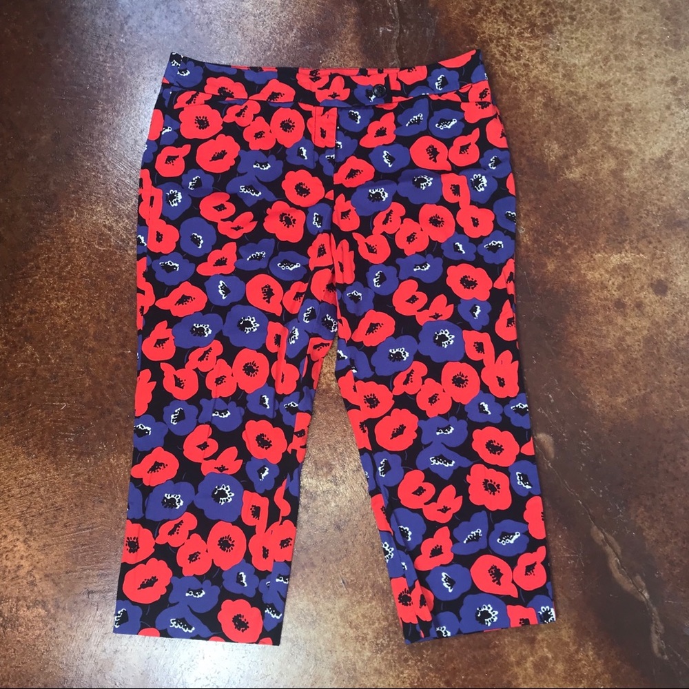 Ann Taylor Factory  14 poppy Capri pants
